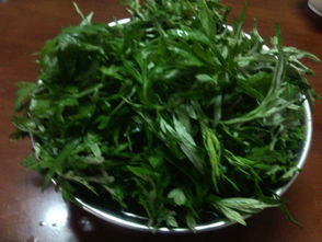青艾草的功效和作用，青艾草