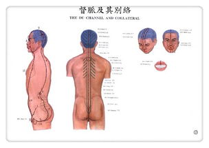 督脉经穴简介