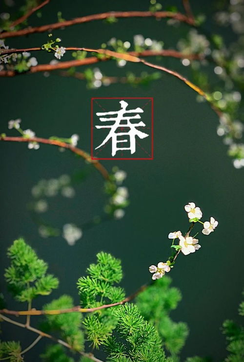 春到人间草木知的上一句，律回岁晚冰爽少 春到人间草木知