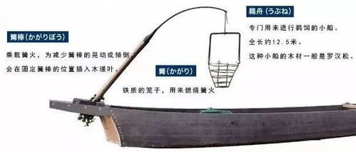 古代小舟的结构，舟的结构是啥