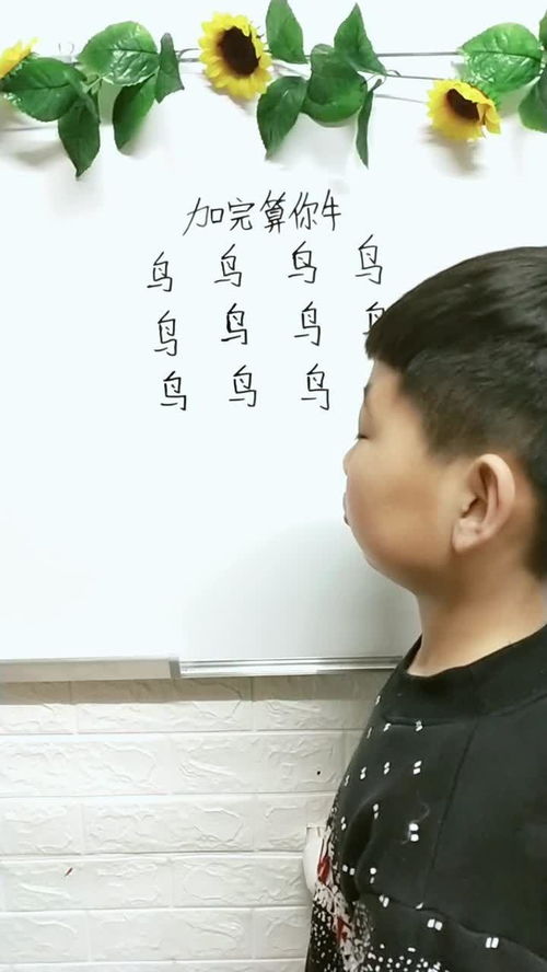 鸟加偏旁部首，鸟加偏旁换新字