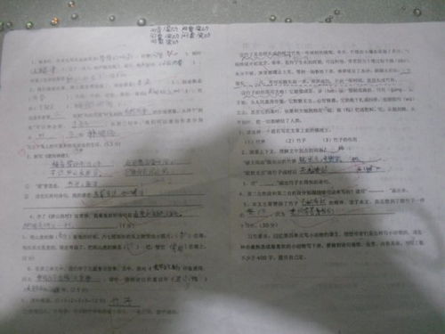 薄读音姓氏，薄雾读音