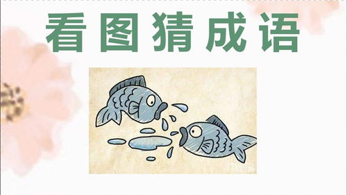 吐的成语大全四个字，兔的成语