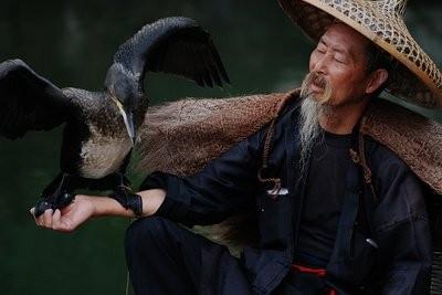 翁的组词和拼音和部首音序，翁的组词组和拼音