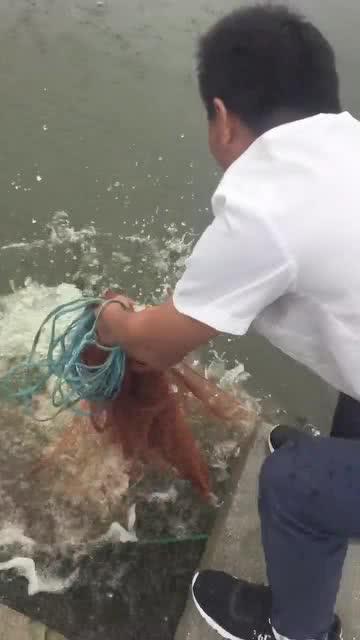 河洛群侠传大鱼入网隐藏任务怎么触发大鱼入网隐藏任务完成攻略_百度