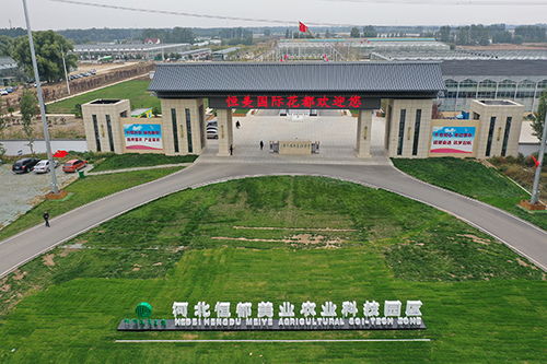 三河市是哪个省的城市