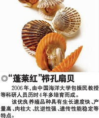 中药别名云风,光连,大贝,是什么药啊?