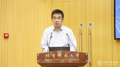 杨槐树蜂蜜的功效，洋槐树图片