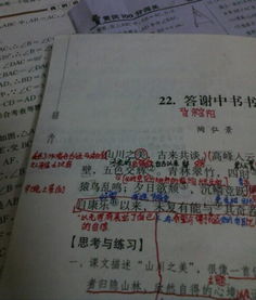 小石潭记翻译和注释