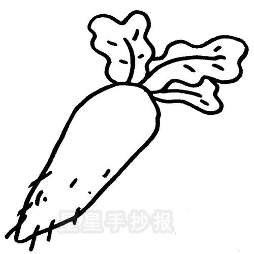 胡萝卜的简笔画