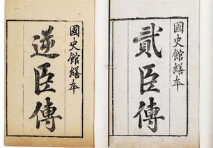 贰臣贼子全文免费阅读，贰臣贼子讲的什么