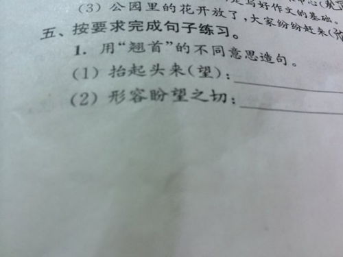 翘首的拼音和意思
