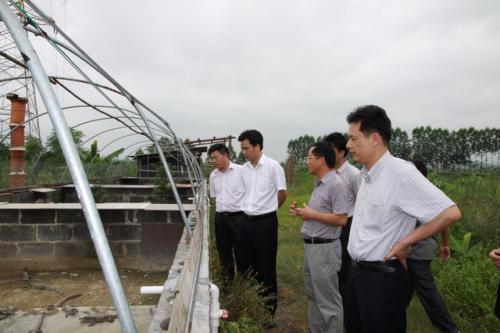 玉林邮政编码是什么意思，玉林邮政编码博白