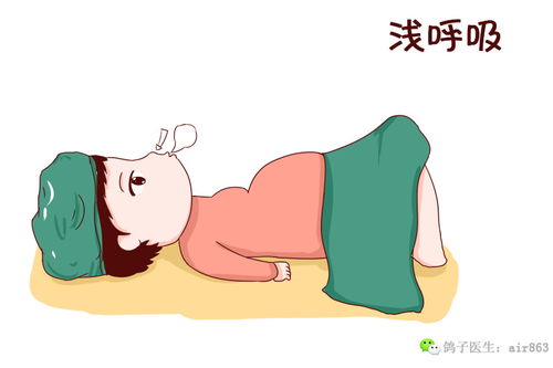 短促突击战的含义及其作用《红星照耀中国》，短促秀眉