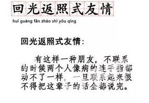 “社会”的意思是什么?
