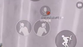 有打头的成语有哪些