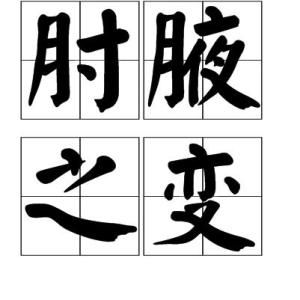 肘腋什么意思，肘腋怎么读