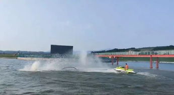 蛟龙入海4d电影，蛟龙入海是哪一年