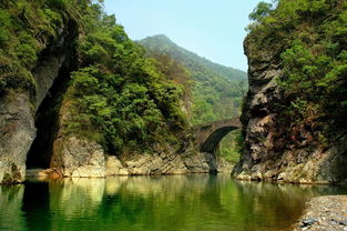 九龙池风景区门票价格，九龙池公园