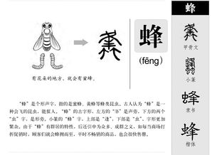 蜂的拼音为什么不是fong，蝉的拼音组词