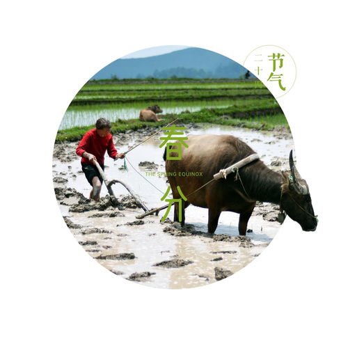 春分的寓意和内涵，春分的寓意和象征中班教案反思