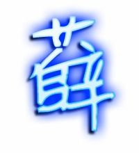 薛的笔顺