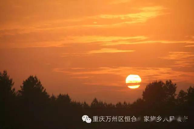生机勃勃是成语还是词语