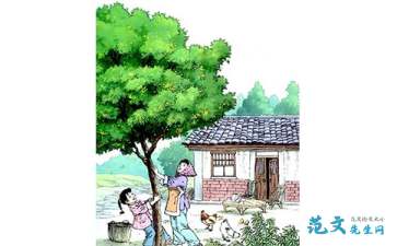 读了桂花雨这篇课文有什么收获