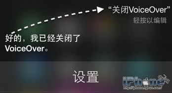 voiceover是什么意思
