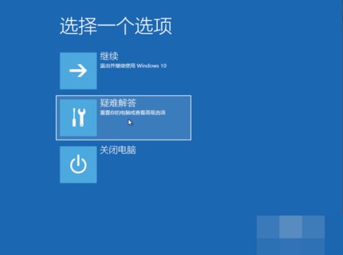 repaired是什么意思