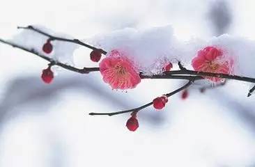天涯地角是什么意思