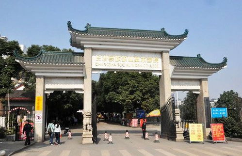 长沙民政职业技术学院怎么样