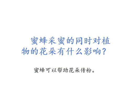 蝉组词拼音，蜂组词两个字