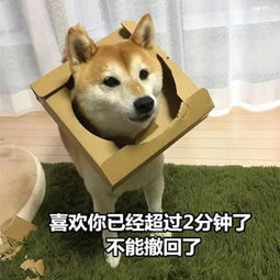 尽心上·《孟子》原文翻译注释与鉴赏