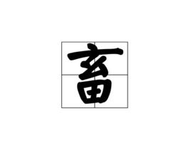 畜字怎么读