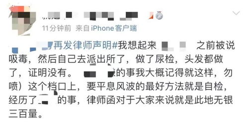 当事人是什么意思