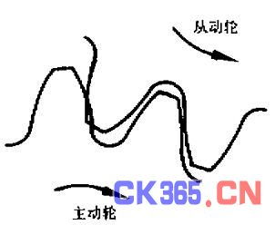 啮虫，啮虫图片