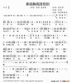 梅花泪歌词词,