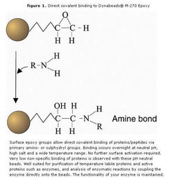 covalent bonding，Covalent Organic Frameworks