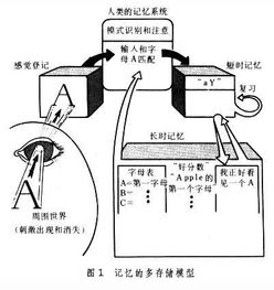 无意识记忆法方法，无意识记忆的规律