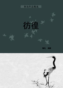 彷徨的拼音
