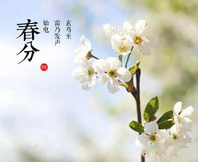 春分的美好寓意和象征
