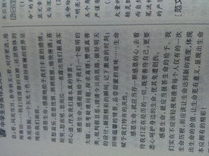 感恩作文1000字初一，感恩作文1000字议论文