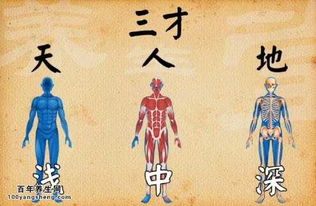 姓名的三才是什么，三才是什么动物