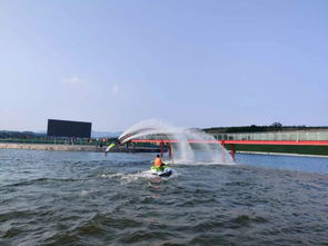 “蛟龙入海恨水浅”的下一句是什么?