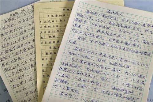 森林防火的作文600字