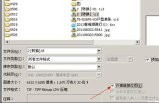 菲林是什么意思