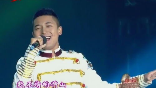 西藏歌手名单大全，中国好声音 西藏歌手