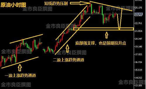 瞻前顾后的意思是什么