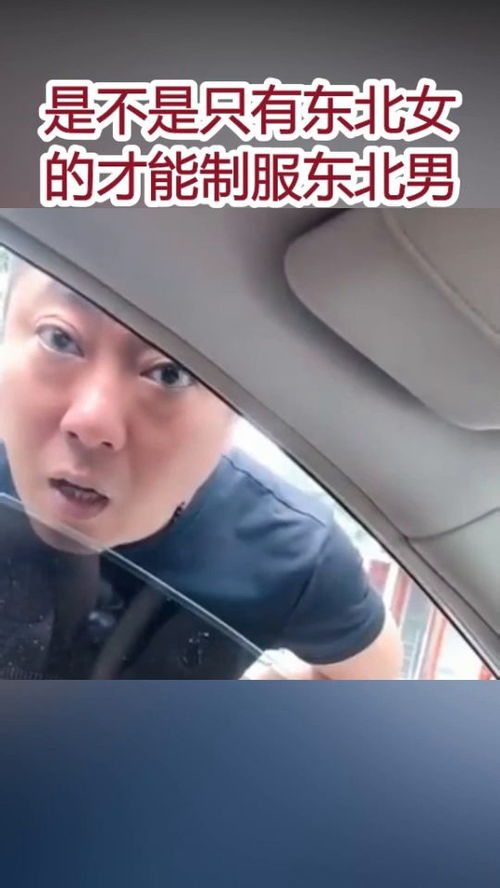 服服帖帖的拼音，服服帖帖的反义词